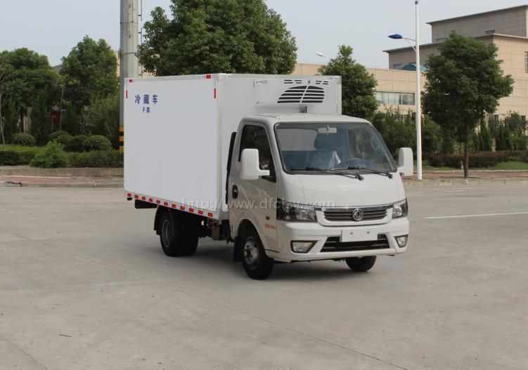 东风途逸国六汽油版小冷藏车图片